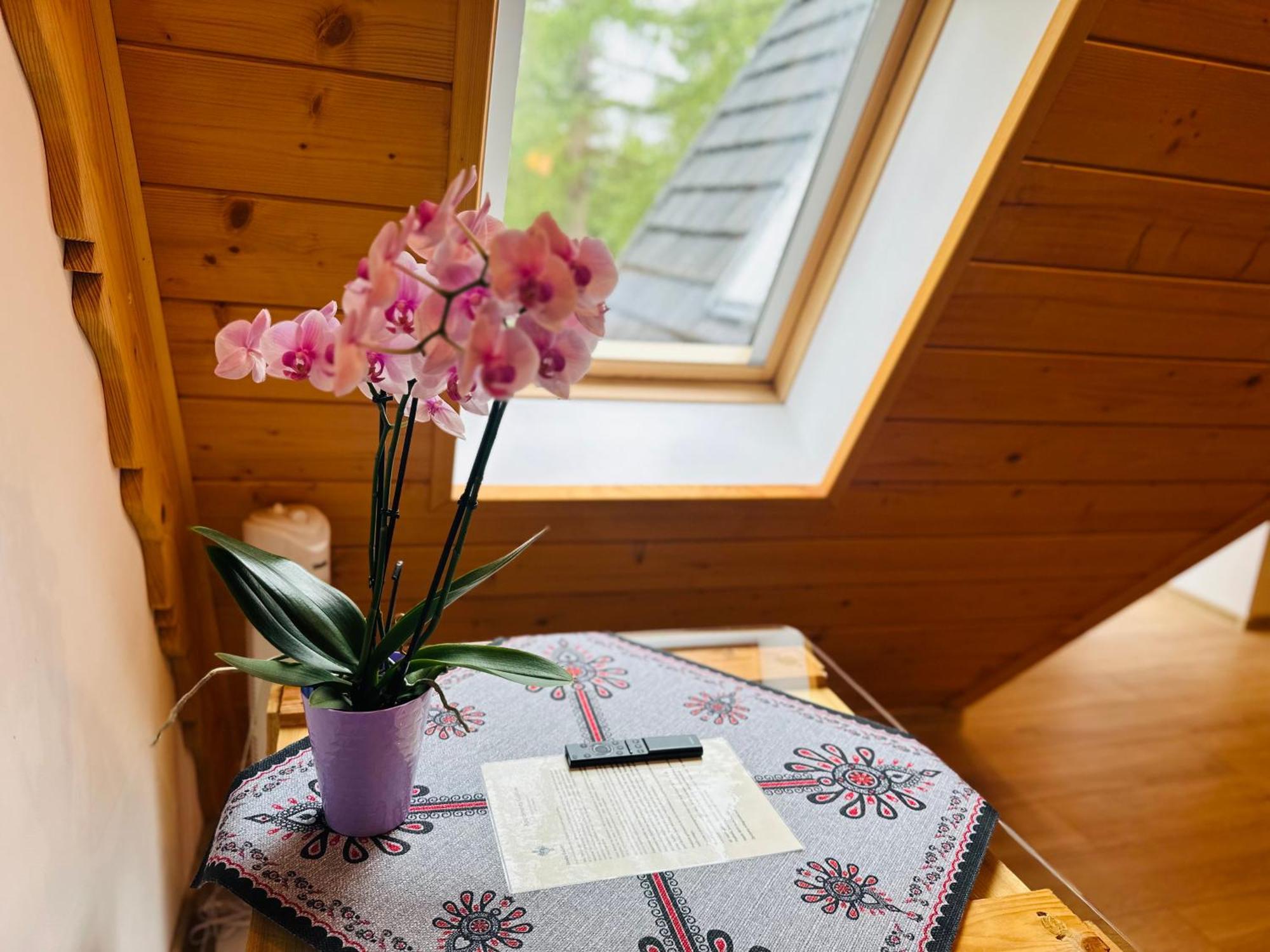 Apartamenty Krokiew Zakopane Eksteriør billede